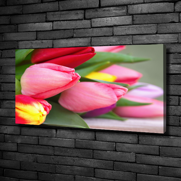 Bild auf leinwand Bunte Tulpen