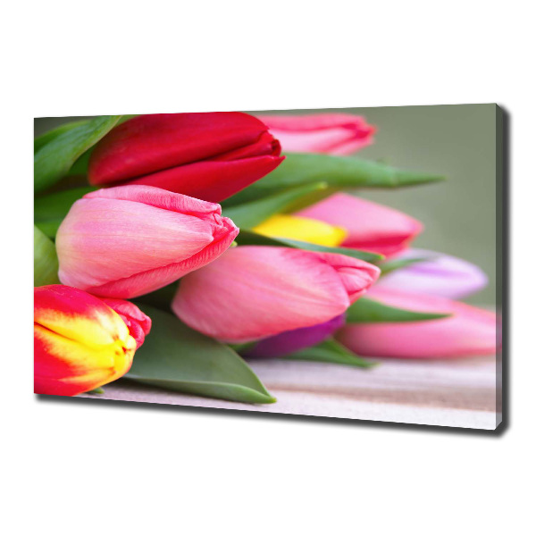 Bild auf leinwand Bunte Tulpen
