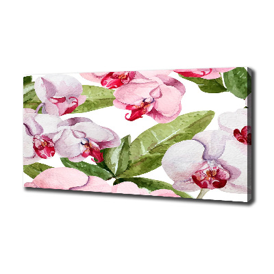 Bild auf leinwand Rosa Orchideen