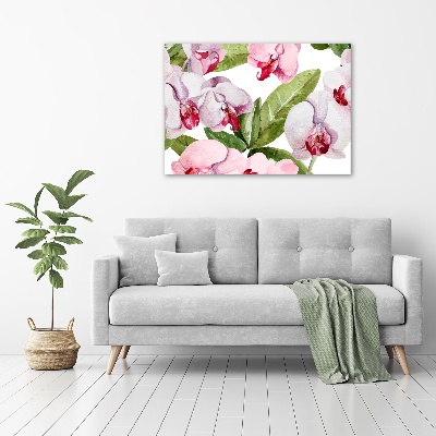 Bild auf leinwand Rosa Orchideen