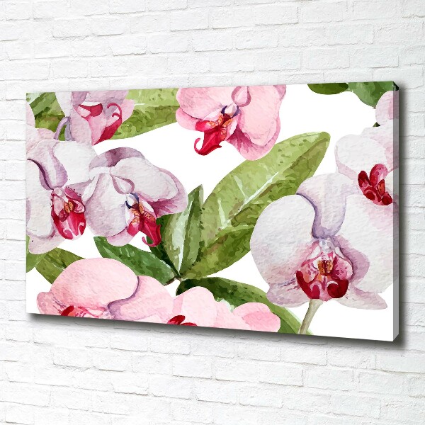 Bild auf leinwand Rosa Orchideen