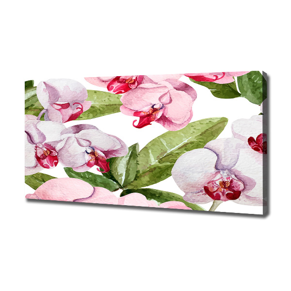 Bild auf leinwand Rosa Orchideen