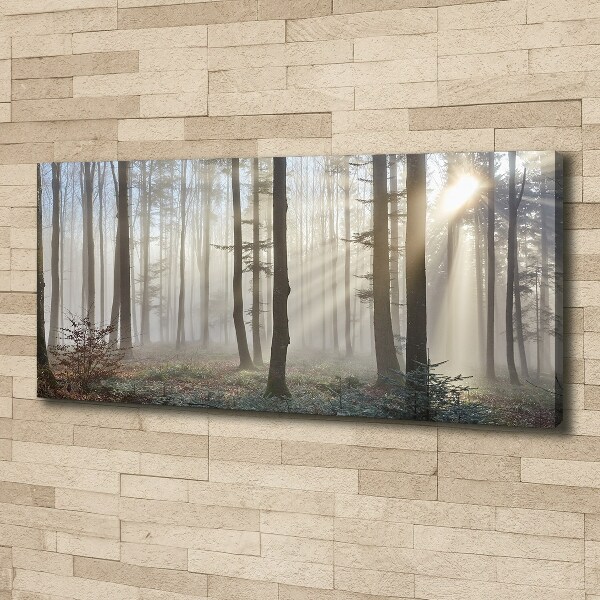 Bild auf leinwand Nebel im Wald