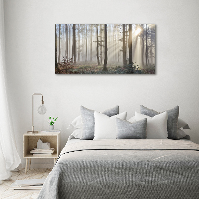 Bild auf leinwand Nebel im Wald
