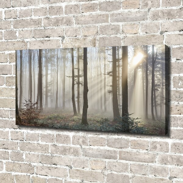 Bild auf leinwand Nebel im Wald
