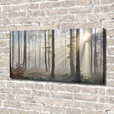 Bild auf leinwand Nebel im Wald