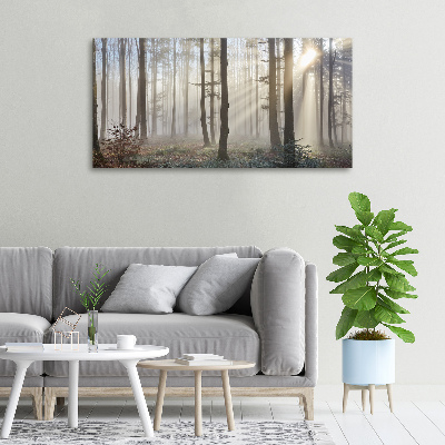 Bild auf leinwand Nebel im Wald