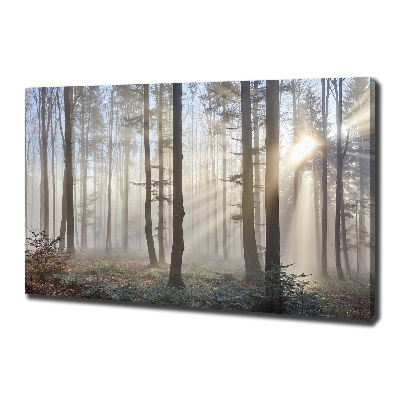 Bild auf leinwand Nebel im Wald
