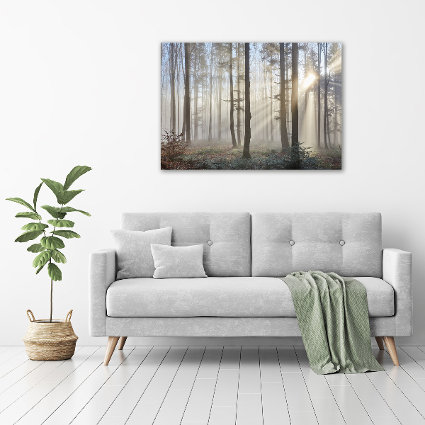 Bild auf leinwand Nebel im Wald