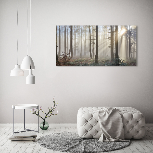 Bild auf leinwand Nebel im Wald