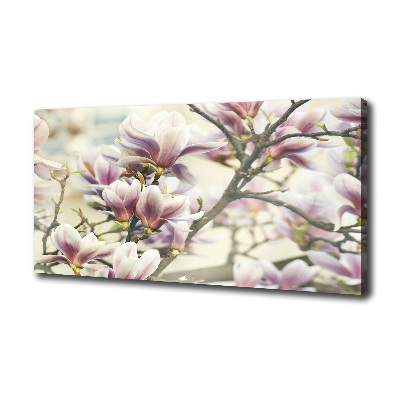 Wandbild Magnolie