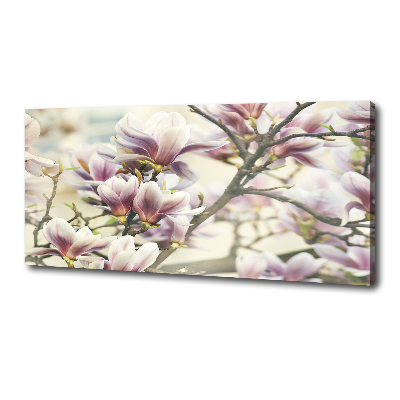 Wandbild Magnolie