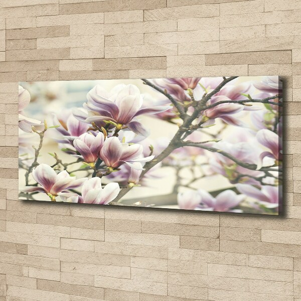 Wandbild Magnolie