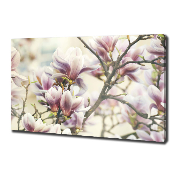 Wandbild Magnolie