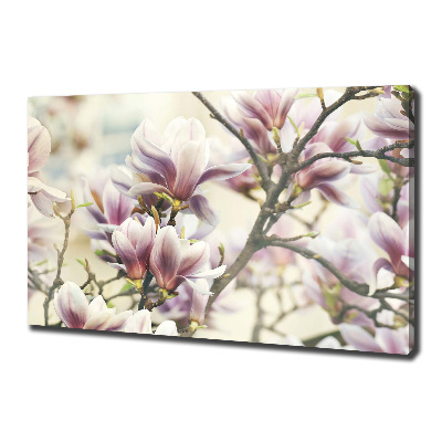 Wandbild Magnolie