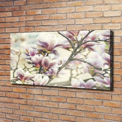 Wandbild Magnolie