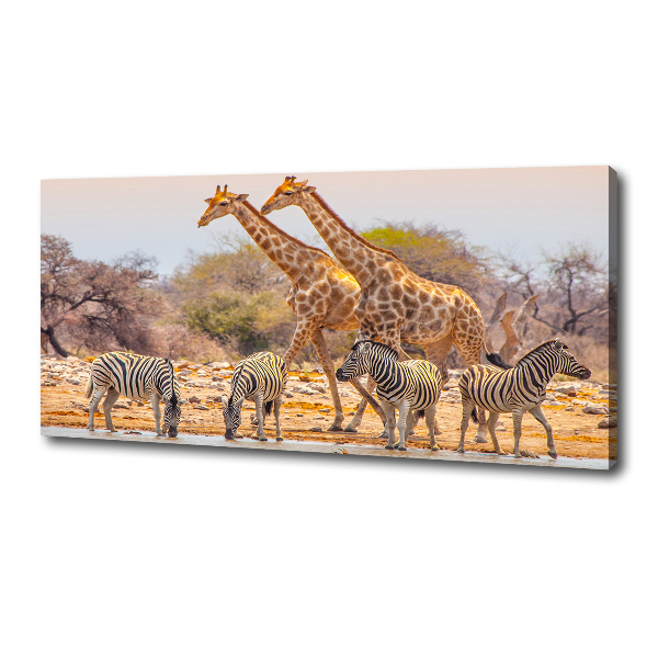 Wandbild Giraffen und Zebras