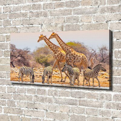 Wandbild Giraffen und Zebras