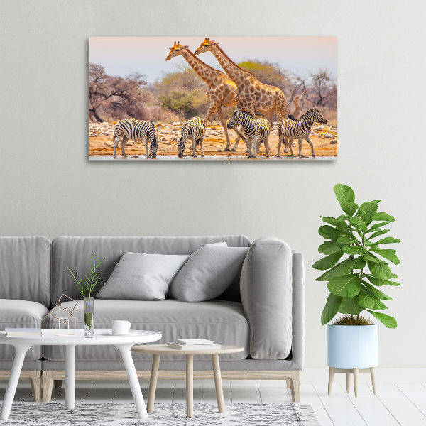 Wandbild Giraffen und Zebras