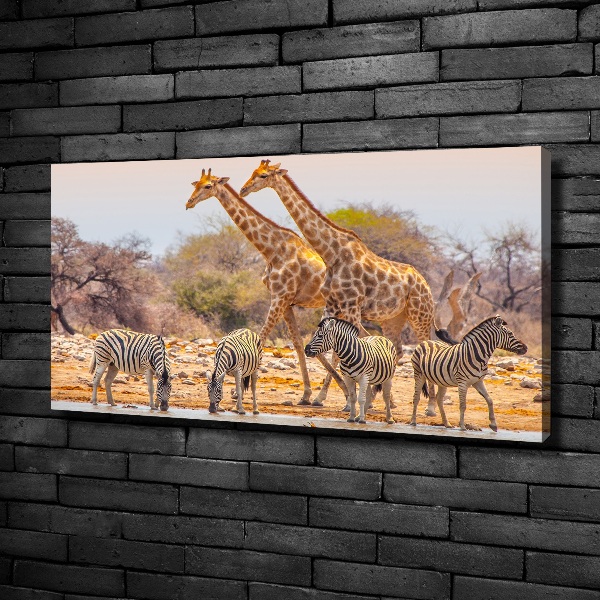Wandbild Giraffen und Zebras