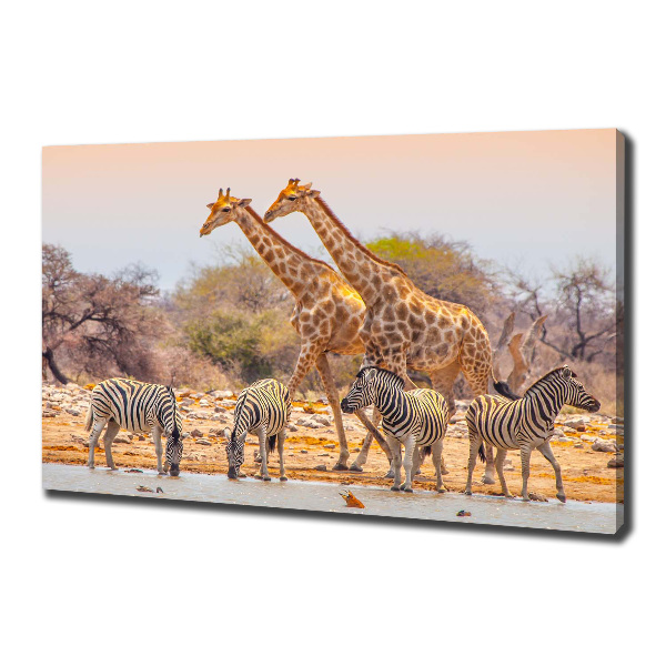 Wandbild Giraffen und Zebras