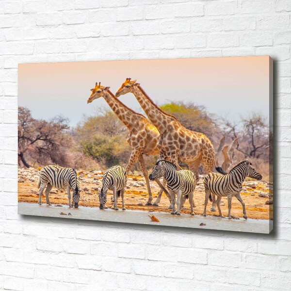 Wandbild Giraffen und Zebras