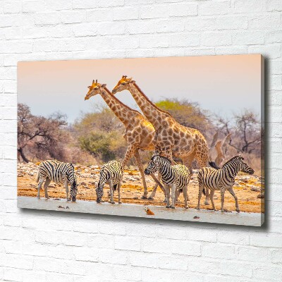 Wandbild Giraffen und Zebras