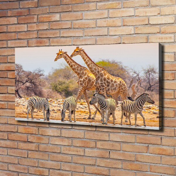 Wandbild Giraffen und Zebras