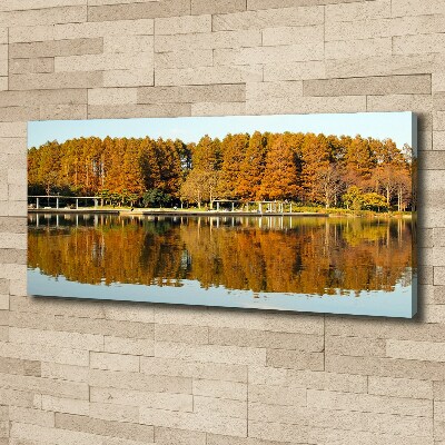 Bild auf leinwand Wald am See