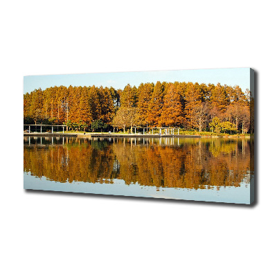 Bild auf leinwand Wald am See