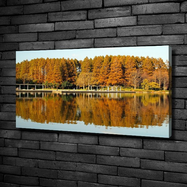 Bild auf leinwand Wald am See