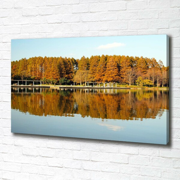 Bild auf leinwand Wald am See