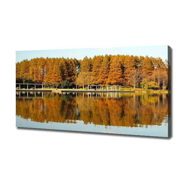 Bild auf leinwand Wald am See