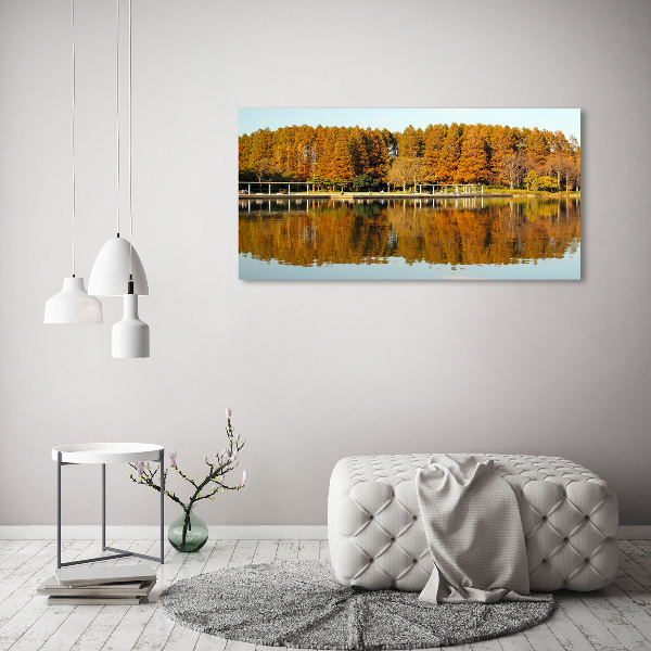 Bild auf leinwand Wald am See