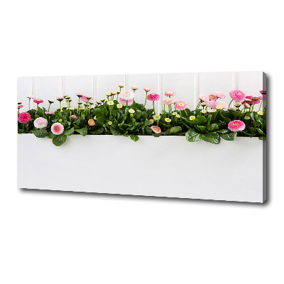 Wandbild Rosa Gänseblümchen
