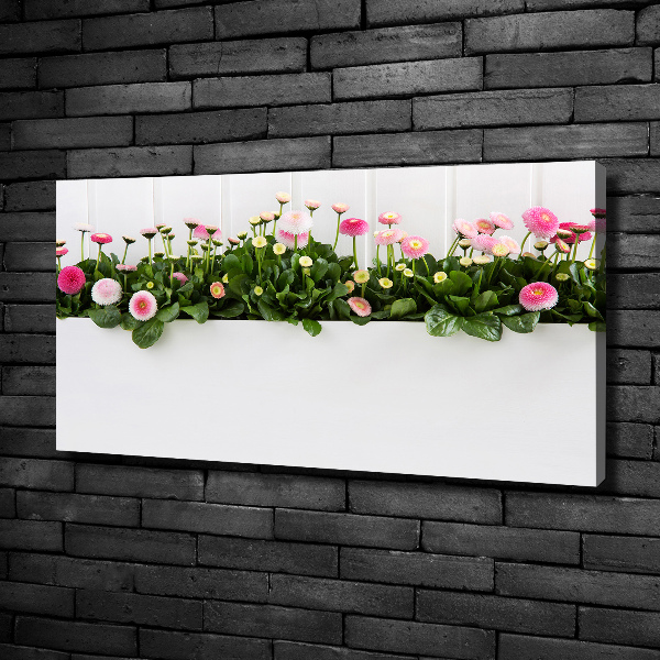 Wandbild Rosa Gänseblümchen