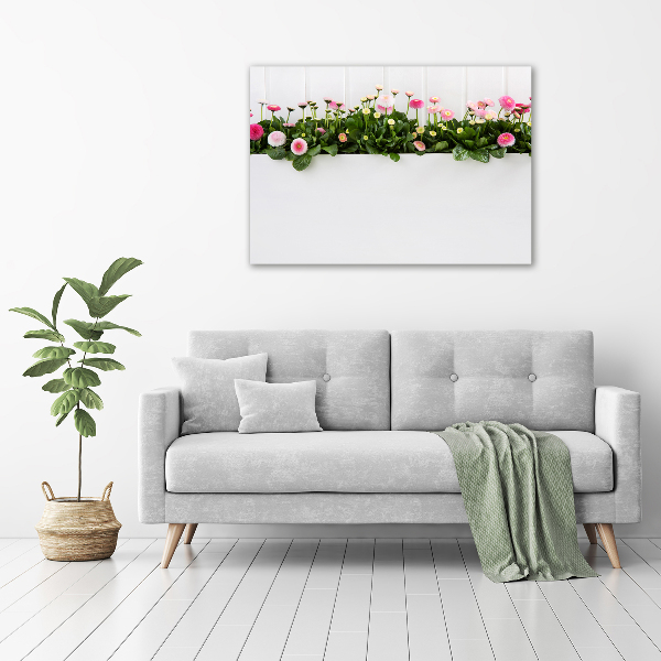 Wandbild Rosa Gänseblümchen