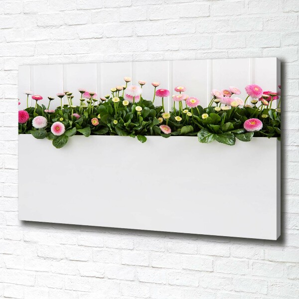 Wandbild Rosa Gänseblümchen
