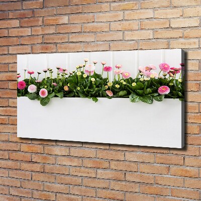 Wandbild Rosa Gänseblümchen