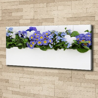 Fotobild Blaue Blumen