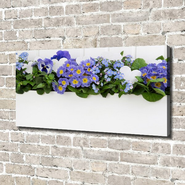 Fotobild Blaue Blumen