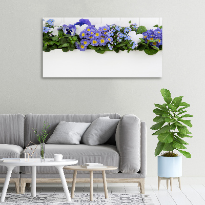 Fotobild Blaue Blumen