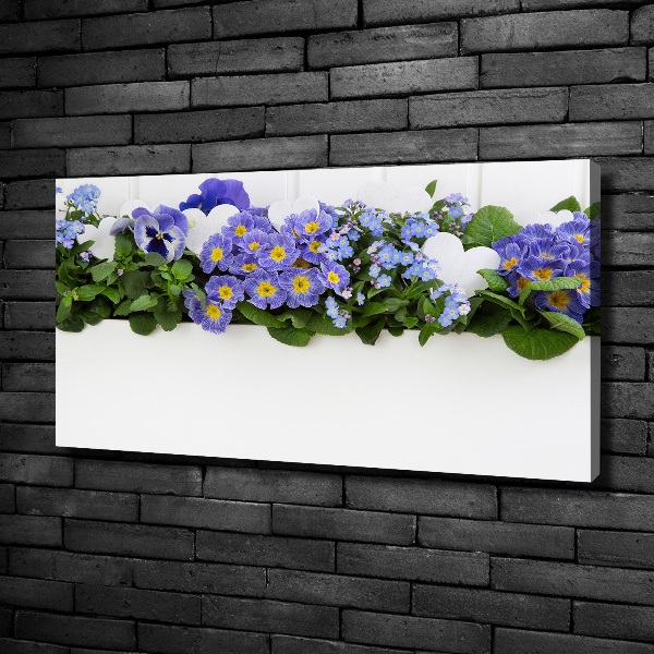 Fotobild Blaue Blumen