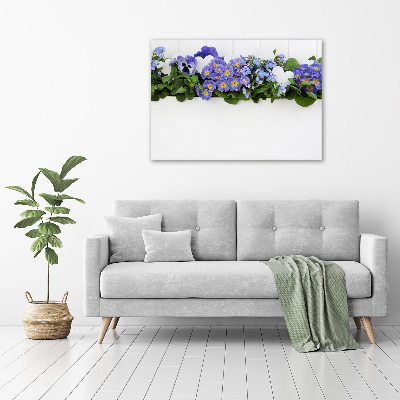Fotobild Blaue Blumen