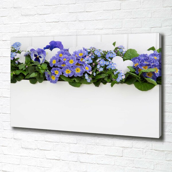 Fotobild Blaue Blumen
