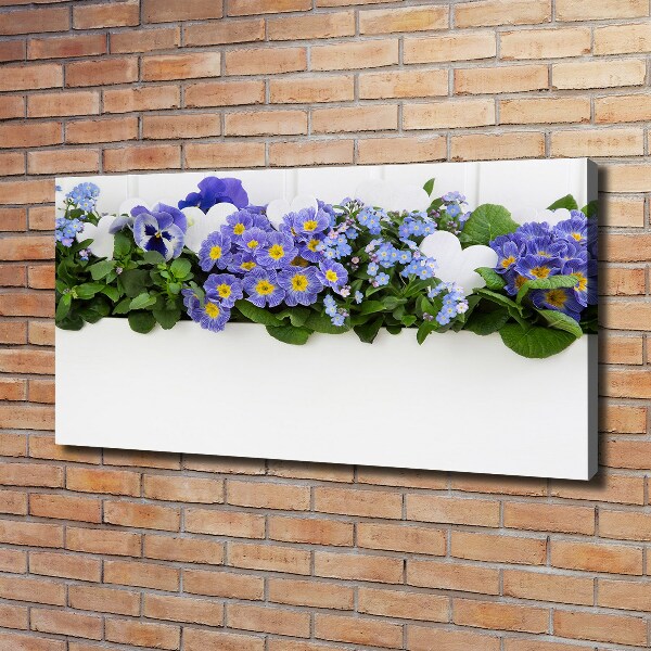 Fotobild Blaue Blumen