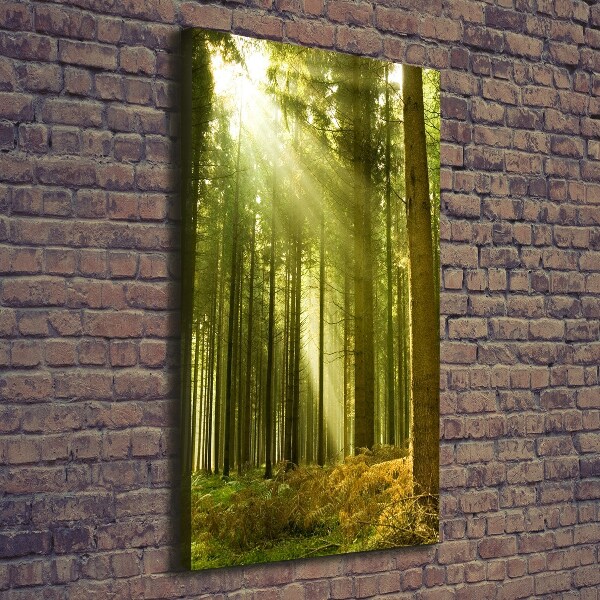 Foto auf leinwand vertikales Die Sonne im Wald