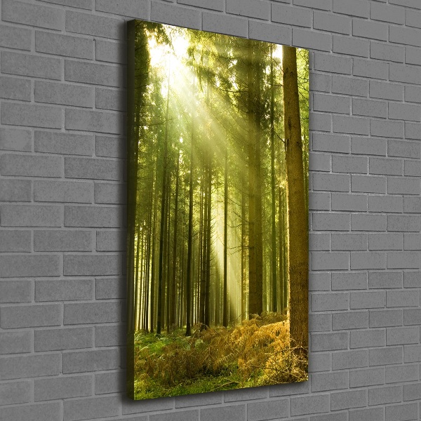 Foto auf leinwand vertikales Die Sonne im Wald