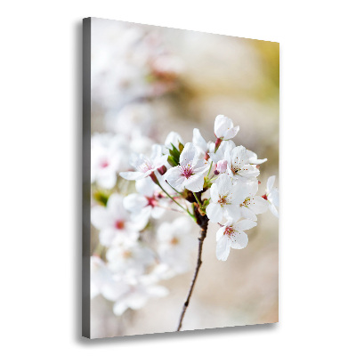 Foto auf leinwand vertikales Kirschblüten