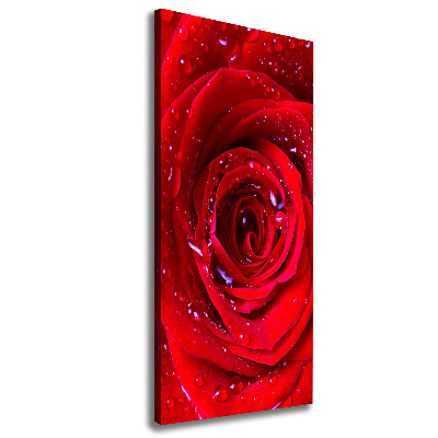 Wandbild vertikales Rote Rose